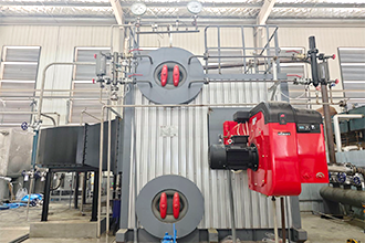 福建龙岩某薯业公司SZS8-2.5-YQ燃气蒸汽锅炉