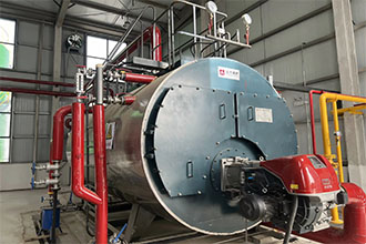 河南南阳化工厂WNS4-1.25-Q燃气蒸汽锅炉