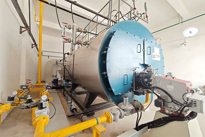 某集团印尼塑胶厂WNS6-1.6-Y(Q)燃气蒸汽锅炉  YYQW2100*2燃气导热油锅炉