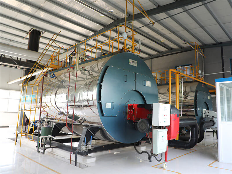 灭菌蒸汽锅炉图2