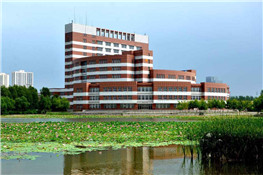 食品厂10吨燃气锅炉案例